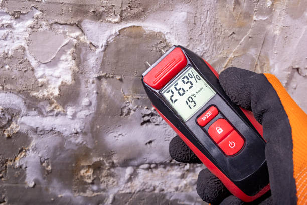 Best Mold Removal Near Me  in Hayden, CO