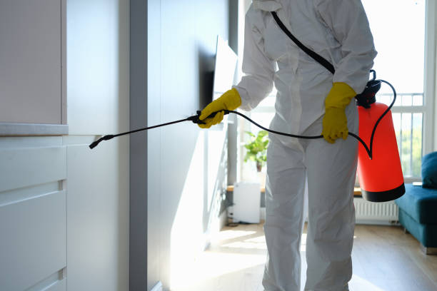 Best Mold Testing  in Hayden, CO